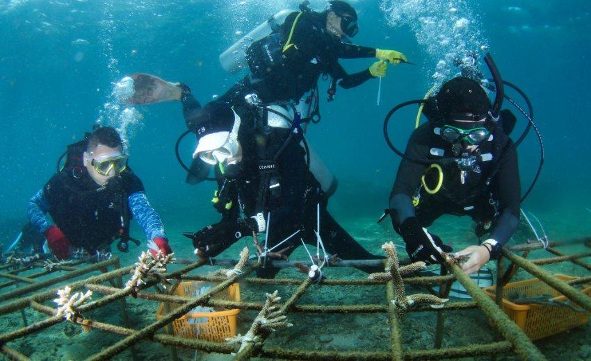 鲁班点石为羊的甘肃这片“海” 是万年前冰川搬运来的